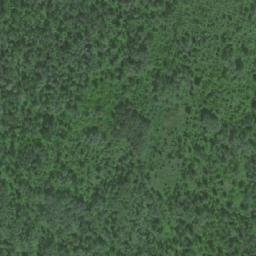 Satellite imagery of Mount McGregor, CA