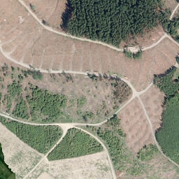 Satellite imagery of Hohe Molmert, DE