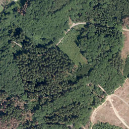 Satellite imagery of Schellhagen, DE