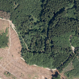 Satellite imagery of Schellhagen, DE