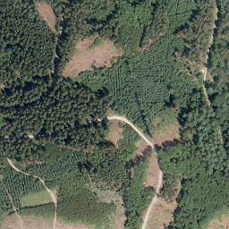 Satellite imagery of Schellhagen, DE