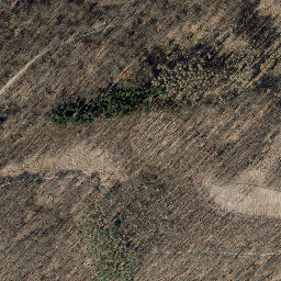 Satellite imagery of Großer Dachsberg, DE
