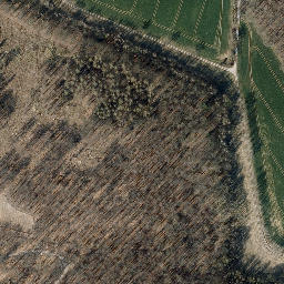 Satellite imagery of Großer Dachsberg, DE