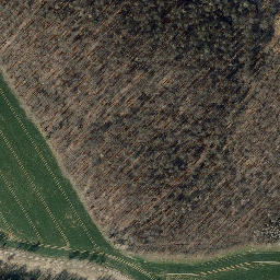 Satellite imagery of Großer Dachsberg, DE