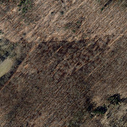 Satellite imagery of Kälberberg, DE