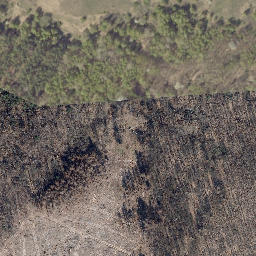 Satellite imagery of Maienberg, DE