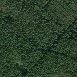 Satellite imagery of Burckhardsberg, DE