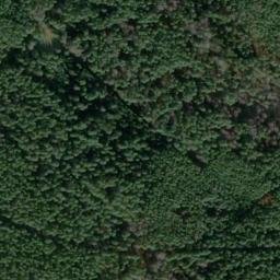 Satellite imagery of Burckhardsberg, DE