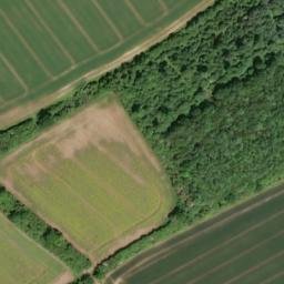 Satellite imagery of Knowle Clump, GB