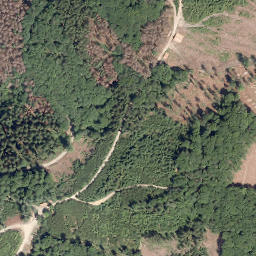 Satellite imagery of Schellhagen, DE