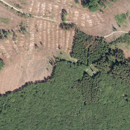 Satellite imagery of Schellhagen, DE