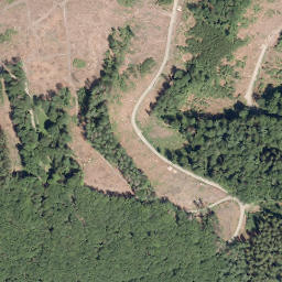Satellite imagery of Schellhagen, DE