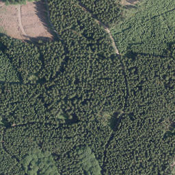 Satellite imagery of Buchhagen, DE