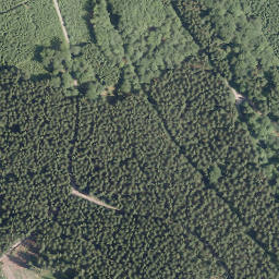 Satellite imagery of Buchhagen, DE