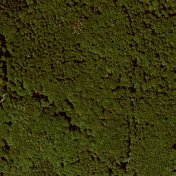 Satellite imagery of Kalbe, DE