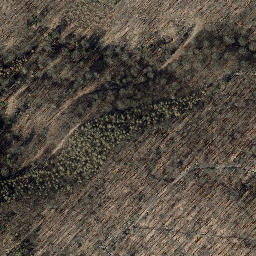 Satellite imagery of Großer Dachsberg, DE