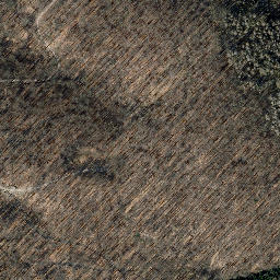 Satellite imagery of Großer Dachsberg, DE
