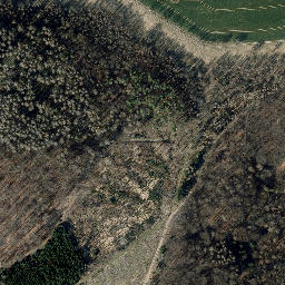 Satellite imagery of Großer Dachsberg, DE