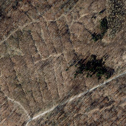 Satellite imagery of Kälberberg, DE