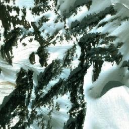 Satellite imagery of Lily Pass, CA