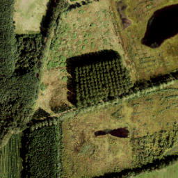 Satellite imagery of 411, NL