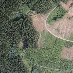 Satellite imagery of Gelsterhagen, DE
