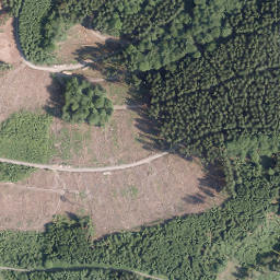 Satellite imagery of Gelsterhagen, DE