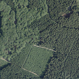 Satellite imagery of Buchhagen, DE