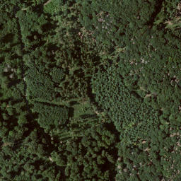 Satellite imagery of Großer Mehlberg, DE