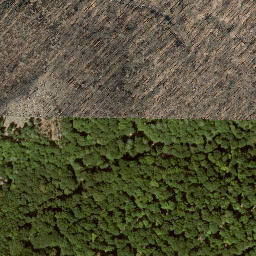 Satellite imagery of Großer Dachsberg, DE