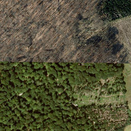 Satellite imagery of Großer Dachsberg, DE