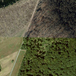 Satellite imagery of Großer Dachsberg, DE