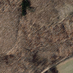 Satellite imagery of Kälberberg, DE