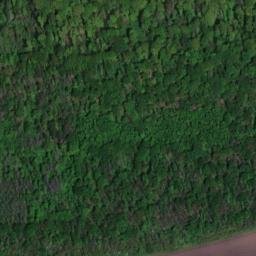 Satellite imagery of Meisel, DE