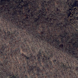 Satellite imagery of Katzenberg, DE