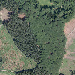 Satellite imagery of Hülsenberg, DE