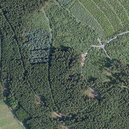 Satellite imagery of Gelsterhagen, DE