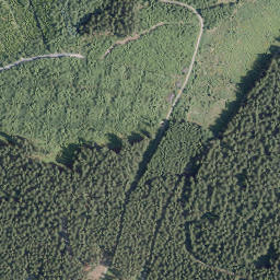 Satellite imagery of Gelsterhagen, DE