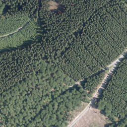 Satellite imagery of Buchhagen, DE
