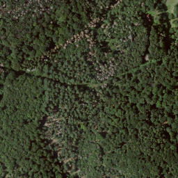 Satellite imagery of Großer Mehlberg, DE