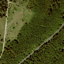 Satellite imagery of Schwalbenthal, DE