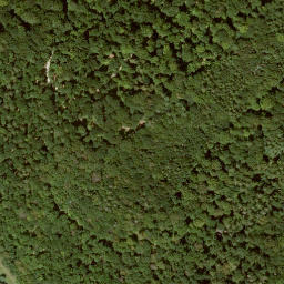 Satellite imagery of Schloß Wolfsbrunnen, DE