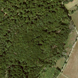 Satellite imagery of Schloß Wolfsbrunnen, DE