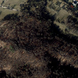 Satellite imagery of Dünberg, DE