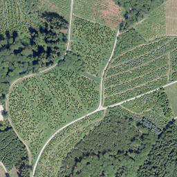 Satellite imagery of Buchhagen, DE