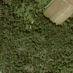 Satellite imagery of Schloß Wolfsbrunnen, DE