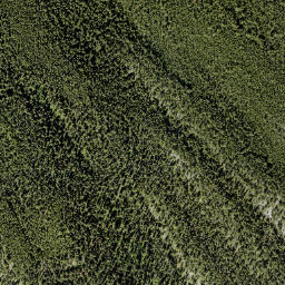 Satellite imagery of Stoney Squaw Mountain, CA