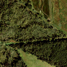Satellite imagery of 164a, NL