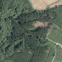 Satellite imagery of Buchholz, DE