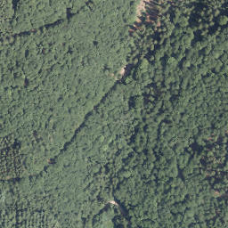 Satellite imagery of Junge Grimme, DE